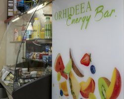 fresh bar