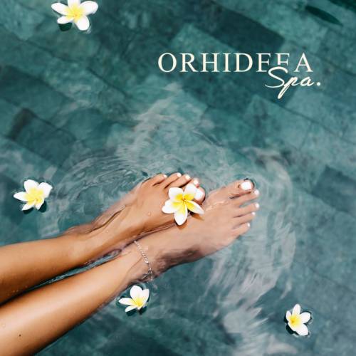A Day at the Spa: Complete Indulgence for Mind and Body