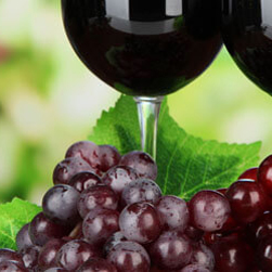 Wine Spirit of the Spa