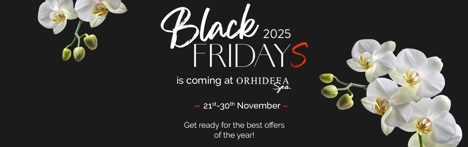 teaser-black-friday-2025-desktop-en