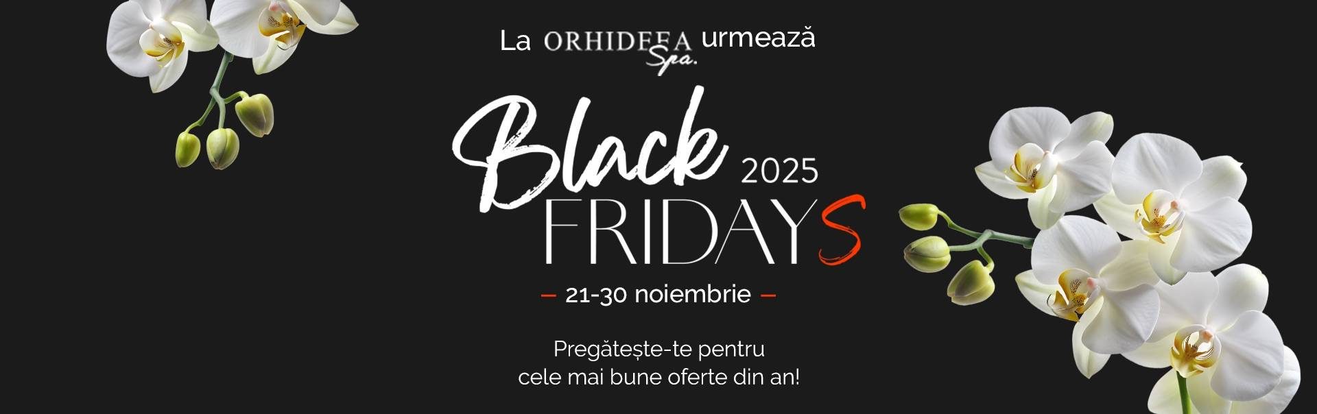 teaser-black-friday-2025-desktop-ro